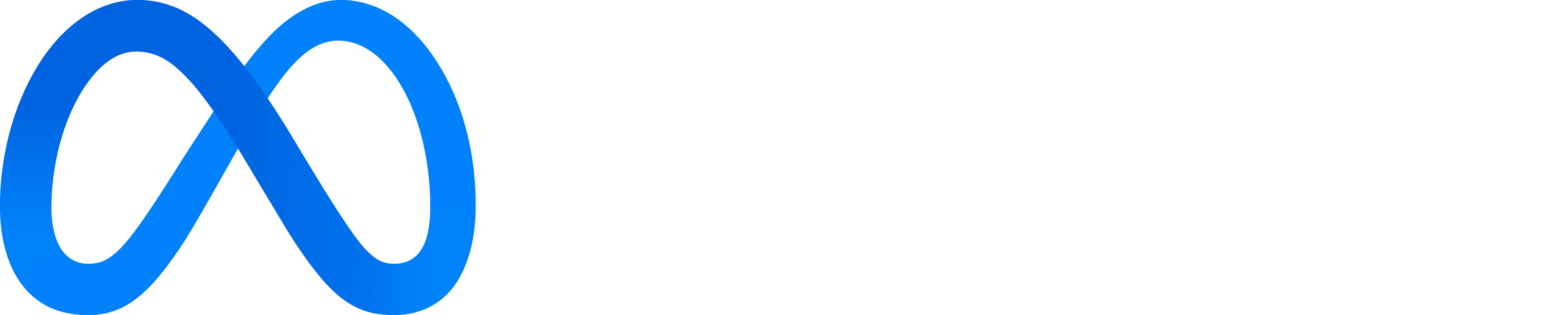 Meta Business Manager